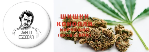 гидропоника Горно-Алтайск