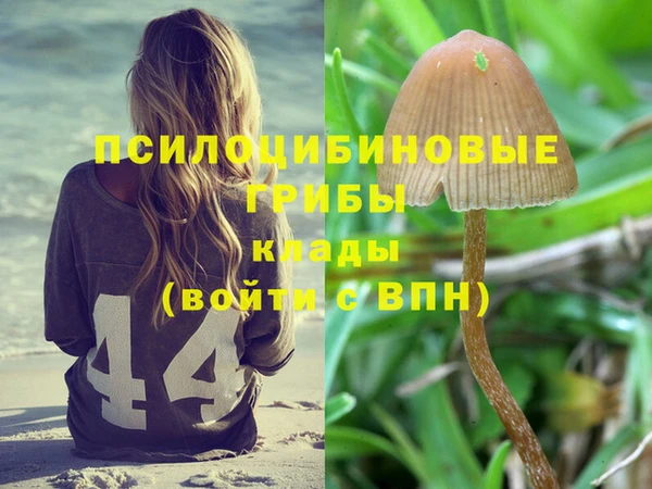 mdma Горняк