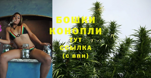 гидропоника Горно-Алтайск