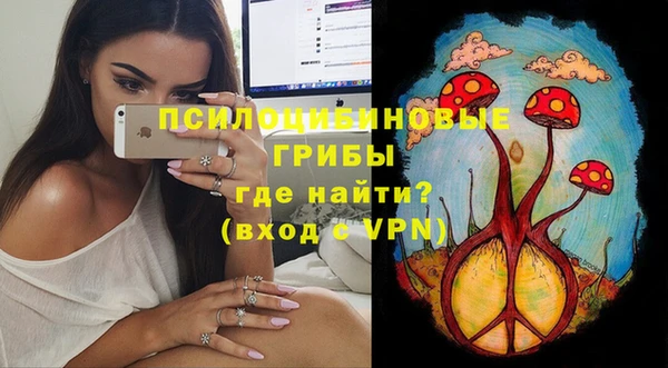 гидропоника Горно-Алтайск